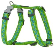 Imbracatura per Cani Red Dingo Style Turchese Stella Verde 37-61 cm