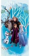 Asciugamano per bambini blu in cotone 70x140 cm Frozen "Blue" – Jerry Fabrics
