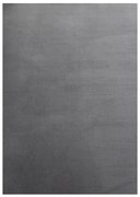 Tappeto lavabile grigio 120x170 cm Sky - Ayyildiz Carpets