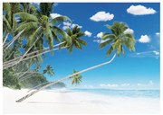 Stampa su tela Palme, multicolore 100 x 140 cm