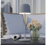 Eglo 900458 - Lampada LED dimmerabile esterna MANNERA 2,2W/5V 1800mAh grigia IP5