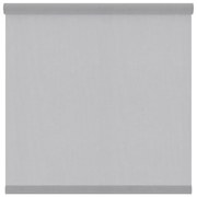 Tessuto per tende a rullo filtrante INSPIRE Canberra grigio / argento 177 x 250 cm