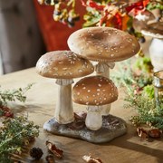 LOBERON Funghi decorativi Harvelle