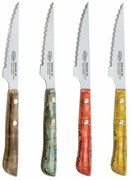 Set di Coltelli per Carne San Ignacio Evergreen BGEU-6076 Multicolore Acciaio inossidabile (4 Unità)