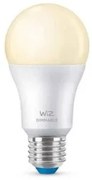 Lampadina Intelligente Ledkia A60 E27