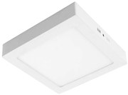 Plafoniera LED GERRY LED/24W/230V 3,000K