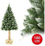 Albero di Natale su tronco 180 cm pino