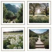Quadri in set di 4 30x30 cm Sunrise Hike