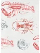 Mindthegap Carta da parati Lobster - WP20012