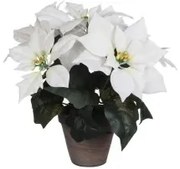 Pianta Decorativa Bianco PVC (27 X 35 CM)