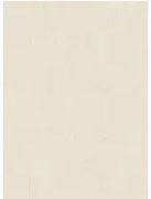 Arte International Carta da parati Tulle - Bone