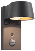 Paulmann 94714 - LED/6W IP44 Applique da esterno con sensore CAPERA 230V
