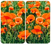 WENKO 2521434500 - Piastra di copertura ABDECKPLATTE - Fiore/Pianta 30x52 cm, multicolore