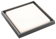 Lucande - Birta LED Quadrato Plafoniera da Esterno 34x34 Grigio Scuro Lucande