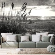 Carta da parati – Tramonto sulla spiaggia in bianco e nero