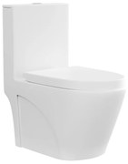 WC da appoggio Drenaggio verticale Ceramica Bianco opaco - NAGILAM
