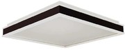 Plafoniera LED LED/24W/230V 4000K 45x45 cm nero