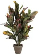 Pianta Decorativa Mica Decorations Croton Verde PVC (73 x 40 cm)