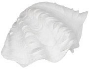 Statua Decorativa Bianco Conchiglia 14 x 7 x 10 cm