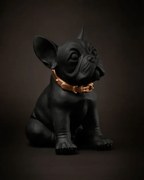 Blogo Design Statuetta moderna bulldog Ruggiero medium nero h 25