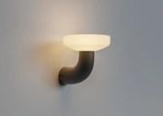 Applique solare Paquita in polipropilene, 8W NEWGARDEN