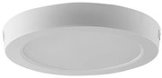 Plafoniera LED LED/18W/230V 6500K diametro 21,6 cm