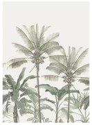Fotomurale Palme, beige