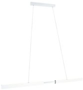 Paulmann - Aptare Lampada a Sospensione Zigbee Dim. Bianco Paulmann