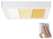 Paulmann 79801 - Plafoniera LED/13W CARPO 230V 2300/2500/3000K