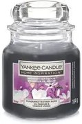 Midnight Magnolia, candela in giara piccola Yankee Candle