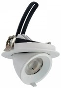 Faro LED da Incasso 15W Orientabile foro Ø100mm con driver Philips Colore  Bianco Naturale 4.000K