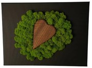 Immagine con cuore di legno e muschio 20 x 30 cm