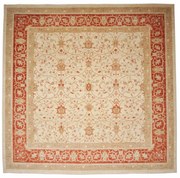Ziegler Tappeto 290x300 Beige (Pakistan) Annodato A Mano