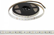 Striscia LED Professional - RGB + CCT (bianco Variabile)  - IP67 - 20W/m - 5m - 24V Colore RGB+CCT