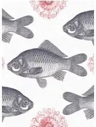 Mindthegap Carta da parati Fish - WP20008