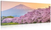 Quadro su tela – Meraviglioso Giappone