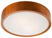 Lampada da soffitto 2xE27/60W/230V