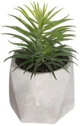 Pianta Decorativa Atmosphera 7 x 14 cm Verde PVC