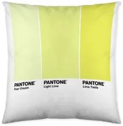 Fodera per cuscino Ombre C Pantone Localization_B086JQZYZH Reversibile 50 x 50 cm