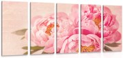Quadri 5 pezzi – Peonia delicata