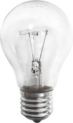 Lampadina robusta E27/100W/230V 2700K