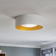 Plafoniera soffitto Moss Euluna, dimmerabile, Bianco / Opale, Soggiorno / Sala da pranzo, Metallo, Moderno, Plafoniera