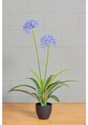 Pianta artificiale senza vaso in pvc colore multicolore H 105