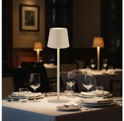 Globo 58438S - Lampada LED touch dimmerabile per esterni VANNIE LED/3W/3,7V IP44