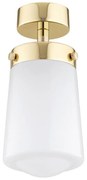 Argon 8005 - Surface-mounted lampadario PASADENA 1xE27/15W/230V oro/bianco