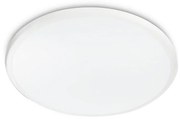 Philips - Plafoniera LED TWIRLY 1xLED/17W/230V