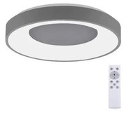 Leuchten Direkt 14326-18 - Lampada LED dimmerabile ANIKA LED/30W/230V + T
