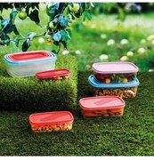 Set di 5 scatole porta pranzo Quid Habitat Plastica