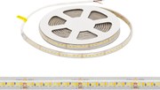 Striscia LED CCT Bianco Variabile 24V 20W/m Professionale - IP67- 5 metri