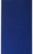Guida runner moquette blu per stand
